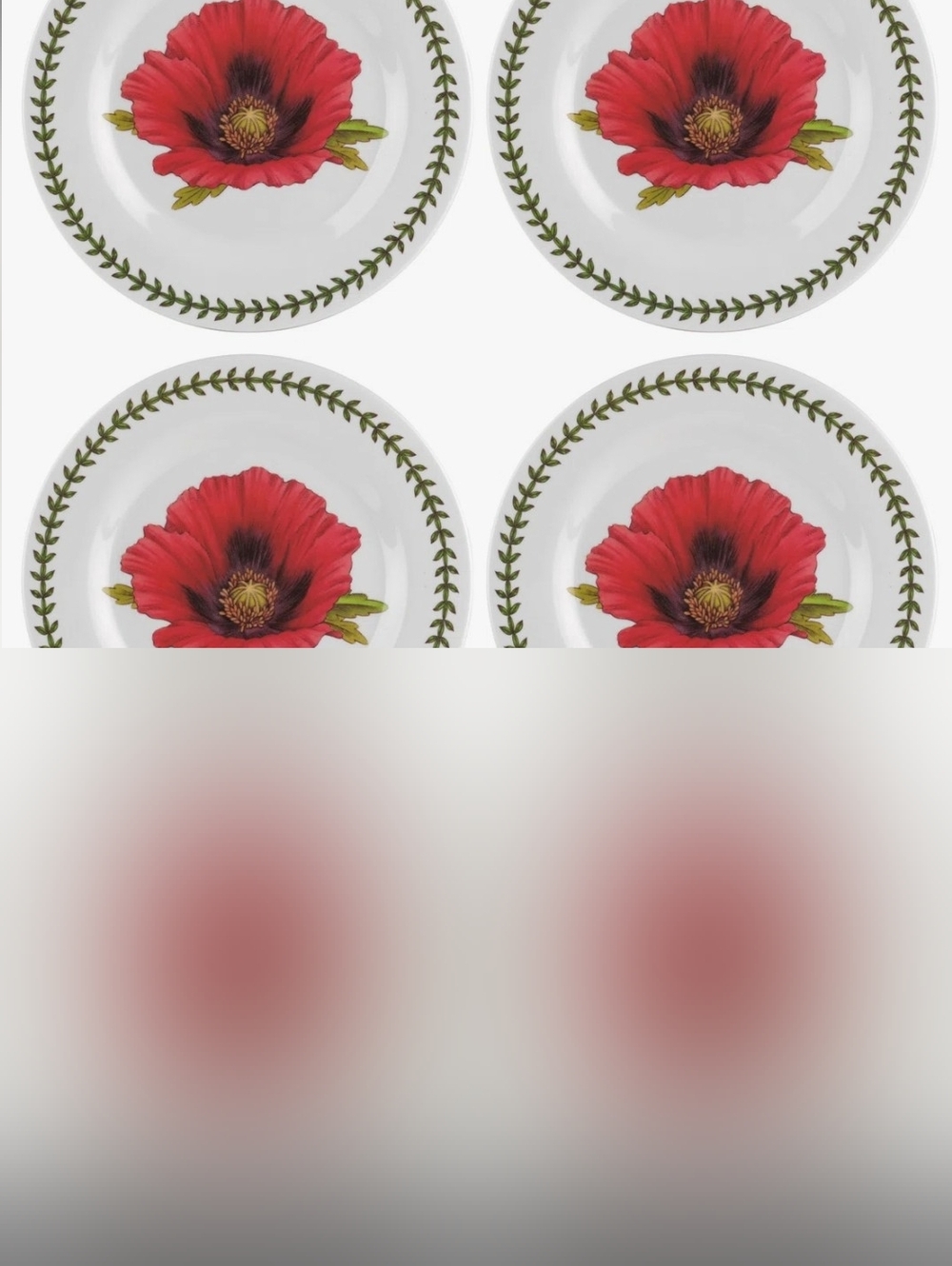 ❣️NIB BOTANIC SALAD PLATES - Picture 5 of 15